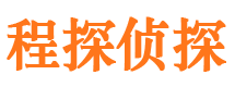 市中市私家侦探